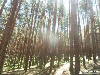 Pesquerías Reales-Valsaín,Río Eresma;senderos cazorla viajar en nochevieja ultimas plazas viajes 